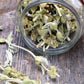 Mountain Tea (Mount Olympus)