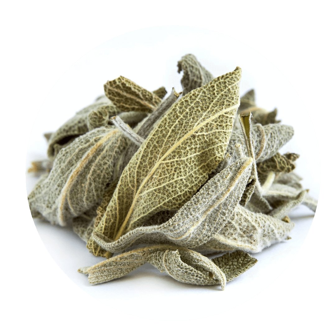 Greek Sage Tea (Ikaria Blue Zone)