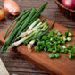 Easiest Green Onion Regrower. Includes Ergonically Designed Lid & Instructions for Beginners.
