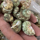 Natural Sea Shells 2 Pounds of Clean Very pretty green colored
