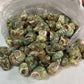 Natural Sea Shells 2 Pounds of Clean Very pretty green colored