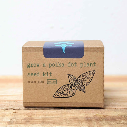 Cultiva un kit de semillas de Polka Dot