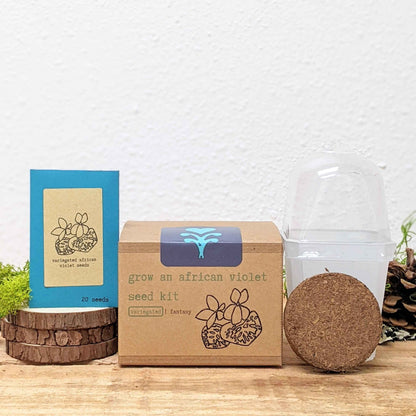 Grow an African Violet Seed Kit