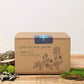 "Grow an Herb Garden" Herbal Teas Seed Kit