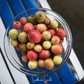 Guava – 25 Seeds