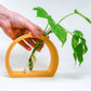 Half-Moon Propagation
