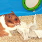 Lixit Bird and Small Animal Nesting Material (1oz Compressed)