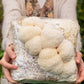 3 Pack - Lion's Mane, Pink, and Blue Oyster Mushroom Grow Kit Fruiting Block - 15 LBS