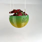 Hanging Joshua Tree Planter