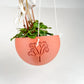 Hanging Joshua Tree Planter
