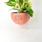 Hanging Joshua Tree Planter