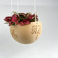 Hanging Joshua Tree Planter
