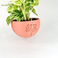 Hanging Joshua Tree Planter