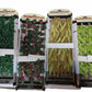 Lot of Fish Aquairum Background Plants 4 packs
