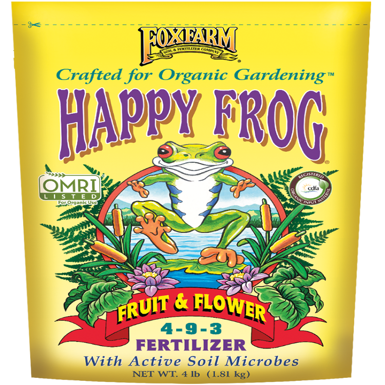 Rana Feliz Fruta y Flor