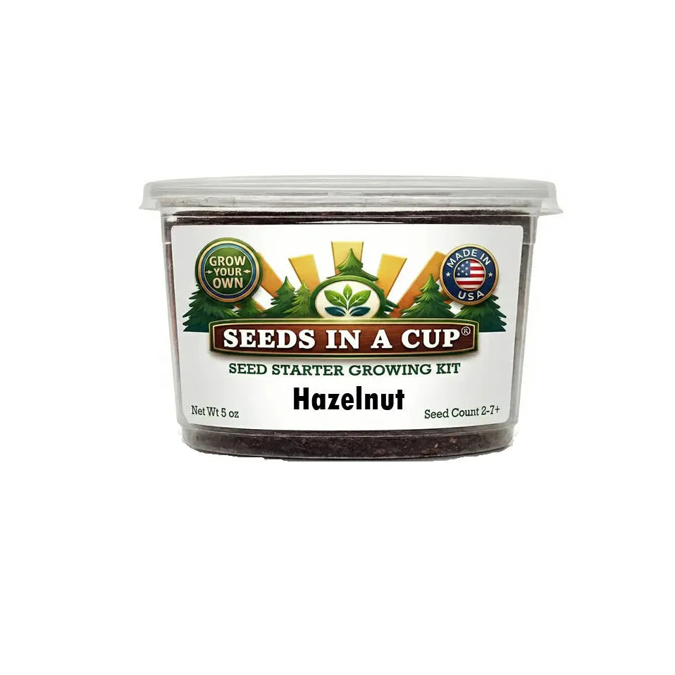 Hazelnut Tree Grow Kit | Grow Hazelnuts from Seed | Seeds In A Cup®
