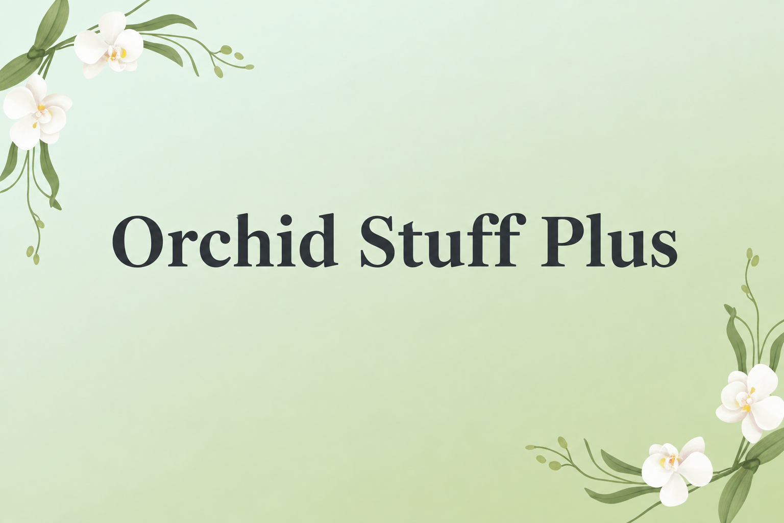 Header banner with the small tagline removed