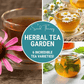 Herbal Tea Seed Collection – 6 Varieties