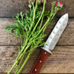 Gardening Gift Box -  Belt, Hori Hori and Pruners