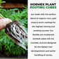 Hormex Rooting Cubes - Grow Plants from Cuttings or Start from Seed - Peat Moss & Coco Plugs - For Strong Roots & Healthy Plants - Ideal for Home & Professional Growers