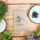 "Houseplant Newbie" Houseplant Seed Collection