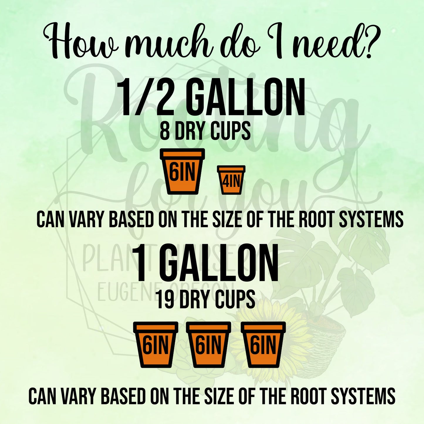 RHAPHIDOPHORA Premium Potting Mix