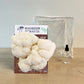 3 Pack - Lion's Mane, Pink, and Blue Oyster Mushroom Growing Kit - 15 LBS