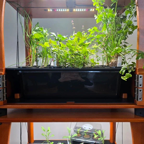 Water Tank (13L Reservoir)