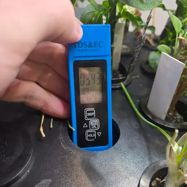 PPM/EC Meter (4-in-1 TDS Tester)