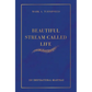 Beautiful Stream Called Life: 150 inspirational mantras - Paperback