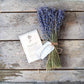 Dried Lavender Bundle – Lavender Gift for Her, Hand Wrapped California Lavender Bouquet