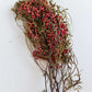 Dried Pink Pepper Berries