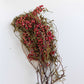 Dried Pink Pepper Berries