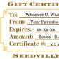 Seedville USA Shop Gift Certificate - Sunflower Design - By Email or Postal Mail - You Choose Amount