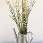 Dried Daisies, Dried Ammobium Bunch - Winged Everlasting Bundle 4oz Bunch