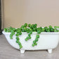 Medium Ceramic Bathtub Planter