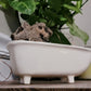 Medium Ceramic Bathtub Planter