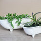 Medium Ceramic Bathtub Planter