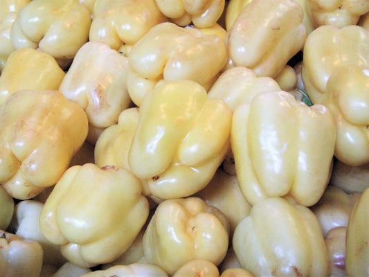 50 WHITE CLOUD BELL PEPPER Sweet Mild Capsicum Annuum Vegetable Seeds
