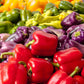 150 RAINBOW BELL PEPPER Sweet Red, Green, Yellow, Orange, Purple, Brown, & White Capsicum Annuum Vegetable Seeds