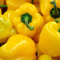 20 Organic Yellow MINI BELL PEPPER Sweet Mild Miniature Capsicum Annuum Vegetable Seeds