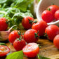 80 Sub ARCTIC PLENTY TOMATO Solanum Lycopersicum Red Determinate Heirloom Fruit Vegetable Seeds