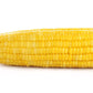 50 KANDY KORN CORN Sweet Yellow Corn Red Husk H.S.E. Zea Mays Vegetable Seeds