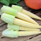 75 Japanese WHITE HULLESS POPCORN or Baby Corn Zea Mays Heirloom Vegetable Seeds