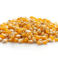 75 SOUTH AMERICAN Yellow POPCORN Corn Zea Mays Heirloom Vegetable Seeds