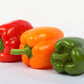 150 RAINBOW BELL PEPPER Sweet Red, Green, Yellow, Orange, Purple, Brown, & White Capsicum Annuum Vegetable Seeds