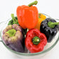 150 RAINBOW BELL PEPPER Sweet Red, Green, Yellow, Orange, Purple, Brown, & White Capsicum Annuum Vegetable Seeds