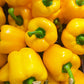 20 Organic Yellow MINI BELL PEPPER Sweet Mild Miniature Capsicum Annuum Vegetable Seeds