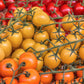 100 ORANGE CHERRY TOMATO Heirloom Solanum Lycopersicum Indeterminate Fruit Vegetable Seeds