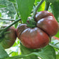80 BLACK KRIM TOMATO Solanum Lycopersicum Indeterminate Heirloom Beefsteak Fruit Vegetable Seeds